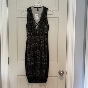 windsor lace dress